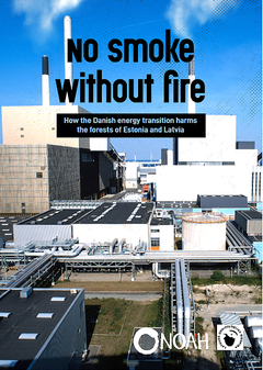 Forsiden på rapporten "No smoke without fire".