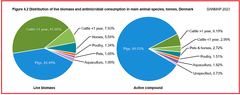 Det er svinene, der fortærer al den veterinære antibiotika, selvom biomassen er langt mindre end for kvæg. Det fortæller en foruroligende historie om udygtighed og mangelfuld respekt for dyrenes nødvendige trivsel. Kilde: Danmap 2023.