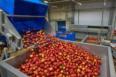 Rynkeby Foods' presseri i Ringe