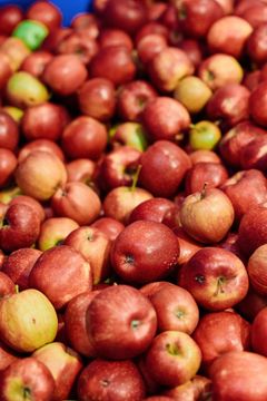 Rynkeby Foods' presseri i Ringe