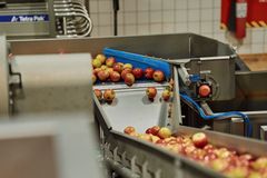 Rynkeby Foods' presseri i Ringe