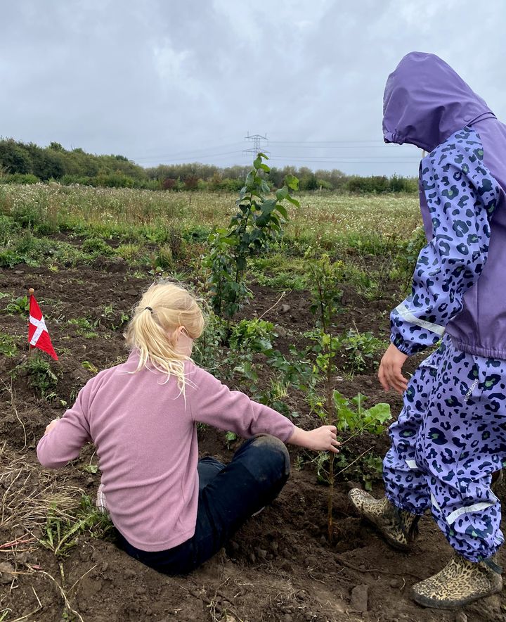 To skolepiger planter et af de 23.900 træer