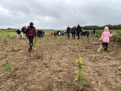 Udsigt over marken, hvor den kommende skov etableres