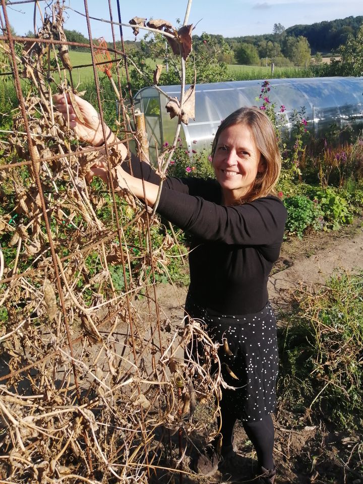 Lotte Børresen, forperson for Praktisk Økologi, dyrker den gamle danske Sjelleært i sin have. Den kommer fra Sjelle Skole, vest for Århus, hvor den blev dyrket af skolelæreren tilbage i 1920’erne. Lotte Børresen dyrker den, fordi den smager godt og er nem at dyrke. Frø fra ærten sælges lokalt sammen med andet overskud fra haven. På den måde bliver den både bevaret for eftertiden og tilgængelig for andre, der vil dyrke den. Hvis de nye regler for frø bliver en realitet, vil salg af Sjelleært kræve, at der meldes ind til de danske myndigheder, hvor mange ærter, der bliver solgt hver år. På samme måde vil det skulle dokumenteres, hvor meget der bliver solgt af skalotteløget Rød Virksund og alle de andre specielle gamle sorter, der dyrkes og sælges fra haven.
