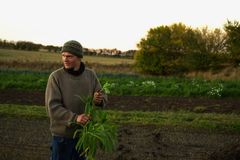 Unge jordbrugere savner jord at dyrke.