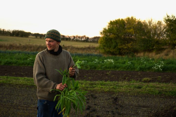 Mange unge bønder dyrker små landbrug med stor mangfoldighed i arter og sorter.