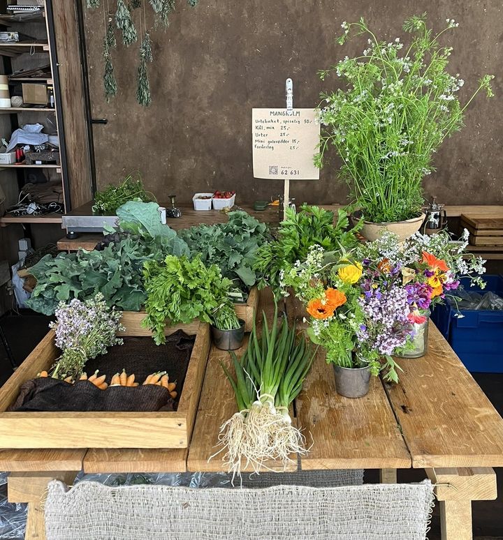 Salg af grøntsager fra små, lokale producenter - her gården Mangholm hos grøntbutikken "Grønne Bønner" i København. Små, lokale producenter dyrker den højeste biodiversitet .