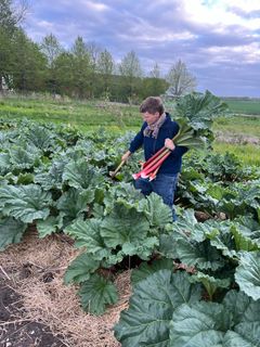 Et nyt lovforslag fra EU kan på kort sigt give os færre slags korn, grønt og frugt at vælge imellem som forbrugere. På længere sigt kan det blive et problem at producere mad nok i en verden, hvor klimaet forandrer sig, og handelsforbindelserne er usikre.