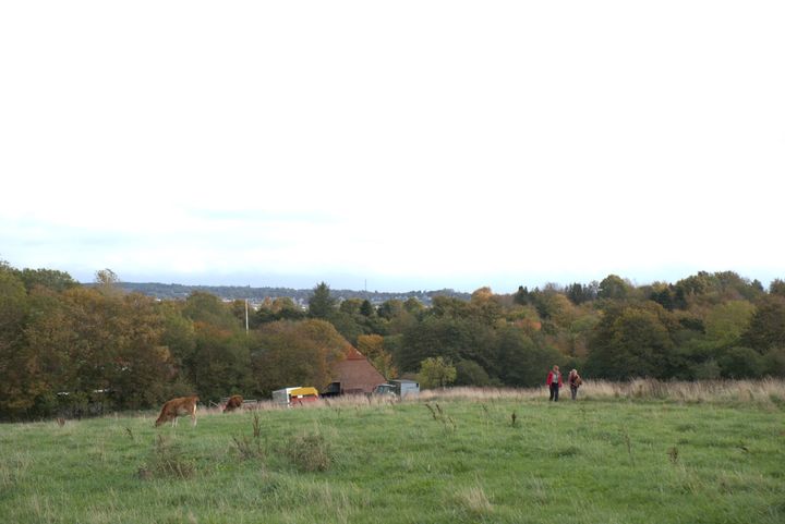 Lader natur og landbrug sig forene?