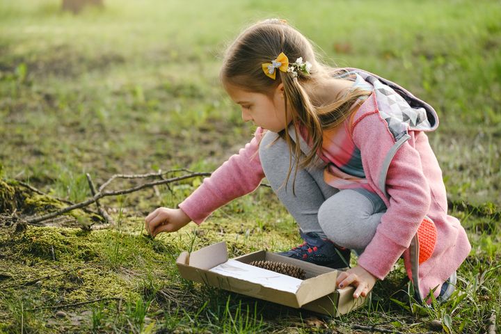 En lille pige i udendørstøj, der sidder på hug på græsset og undersøger naturen. Hun plukker noget fra jorden og har en papkasse ved siden af, som indeholder naturmaterialer som en kogle. Pigen er klædt i en pink jakke og har en sløjfe i håret.