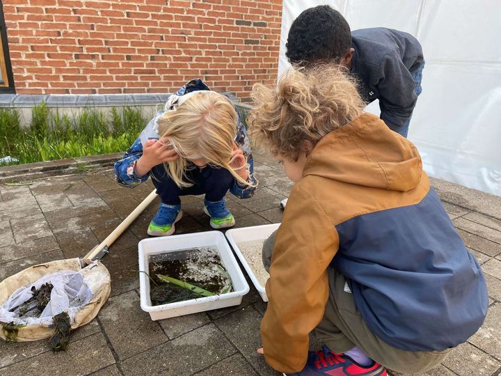 Tre børn undersøger vandprøver i bakker udendørs.