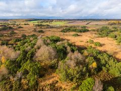 Luftfoto af Nørholm Vildmark med varieret vegetation og åbne, flade områder under en skyet himmel.