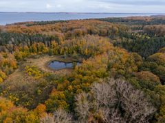 Luftfoto af Asnæs Vildmark ved Kalundborg. Området er præget af skove med efterårsfarver og en lille sø. I baggrunden ses en fjord.