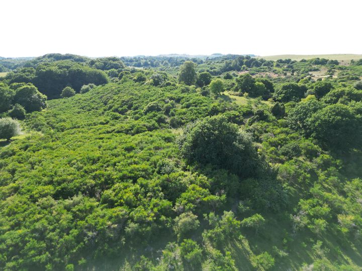 Luftfoto af grønne bakker og varieret natur ved Molslaboratoriet.