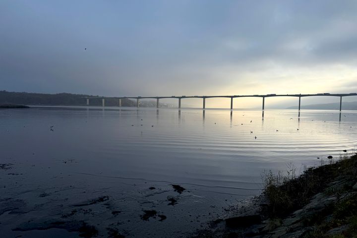 Vejle Fjord