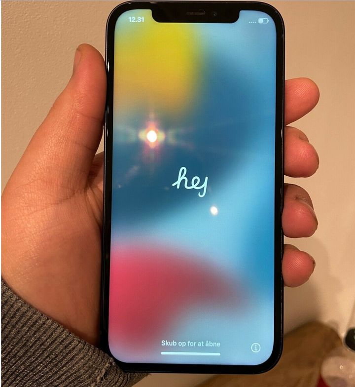 4.200 kroner vil Alexander fra Trige nær Aarhus have for sin iPhone 12. Alexanders' DBA-bruger er Nemid-valideret, og iPhonen har plads til 64 GB. Foto - DBA Guide