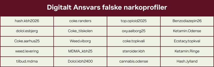 Alt-tekst%3A%20Et%20skema%20med%2020%20falske%20narkoprofiler%20oprettet%20af%20Digitalt%20Ansvar%20p%E5%20Snapchat%2C%20med%20eksplicitte%20narkoord%20i%20profilnavne.