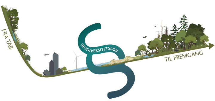 Illustration: En lov biodiversitet kan bidrage til at vende tabet af biodiversitet til fremgang
