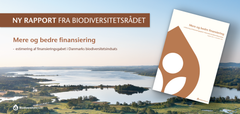 Biodiversitetsrådets rapport 2025