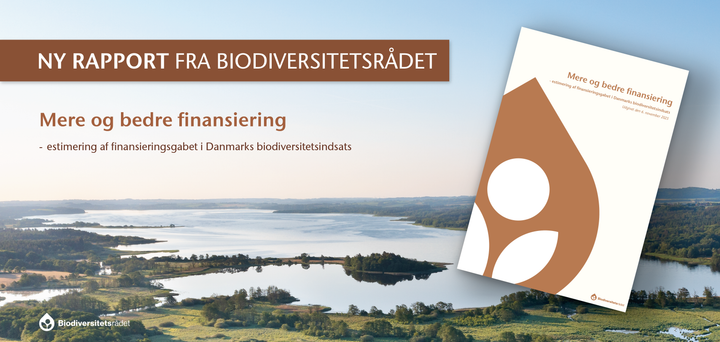 Biodiversitetsrådets rapport 2025