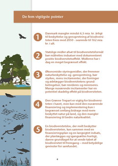 Rapportens fem vigtigste pointer