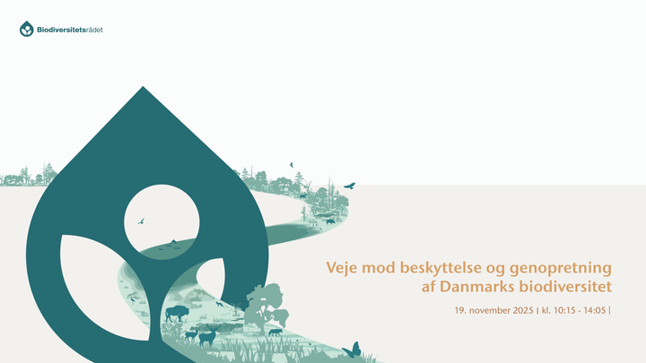 Biodiversitetsrådets konference: Veje mod beskyttelse og genopretning af Danmarks biodiversitet onsdag den 19. november