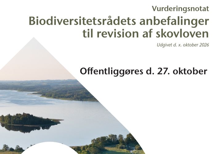 Biodiversitetsrådets anbefalinger til revision af skovloven udgives d. 27. oktober