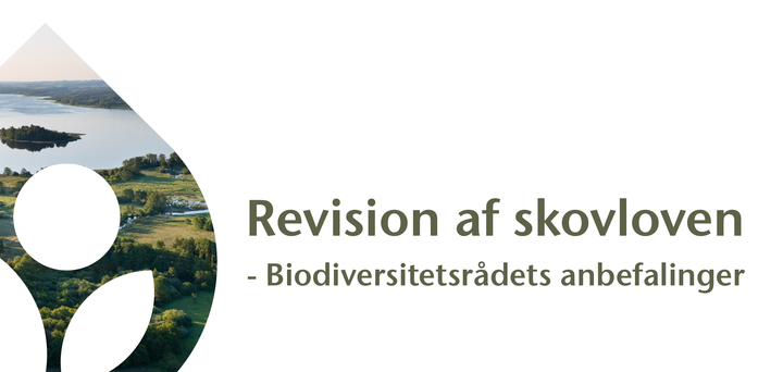 Biodiversitetsrådet anbefaler, at biodiversitet retligt sidestilles med træproduktion, når skovloven skal revideres. I dag kræver de fleste tiltag for biodiversiteten dispensation.