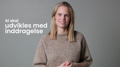 Workshoppen er bygget op om tre af projektets fire anbefalinger og veksler mellem korte videoer og spørgsmål, som deltagerne besvarer i fællesskab.