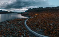 Vej i Lapland