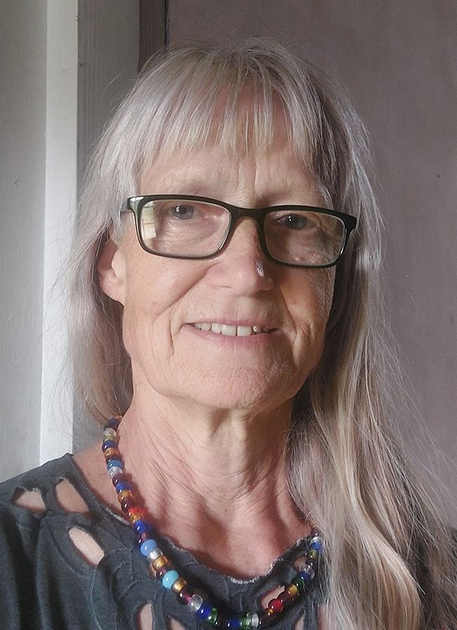 Elisabeth Bergsøe er billedkunstner fra Sydsjælland og kandidat for det nye parti "Demokraterne - hele Danmark skal leve" i Region Østdanmark. Elisabeth Bergsøe bor i Store Heddinge og er nummer 3 på Demokraternes liste J i Region Østdanmark.