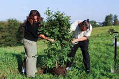 Sustainability Manager hos NorthSide, Martin Thim, og marketingpraktikant Signe Møller planter et symbolsk træ i Eskelunden for at fejre aftalen om NorthSide-skoven