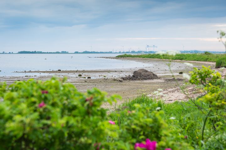 Kystvandområdet omkring Odense Fjord (billedet) får nu selskab af yderligere tre fynske kystvandråd.