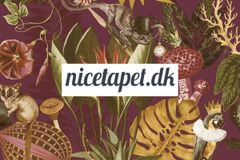 Nicetapet Logo På Tapet Fra Arboretum