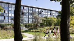 Toveshøj i Brabrand