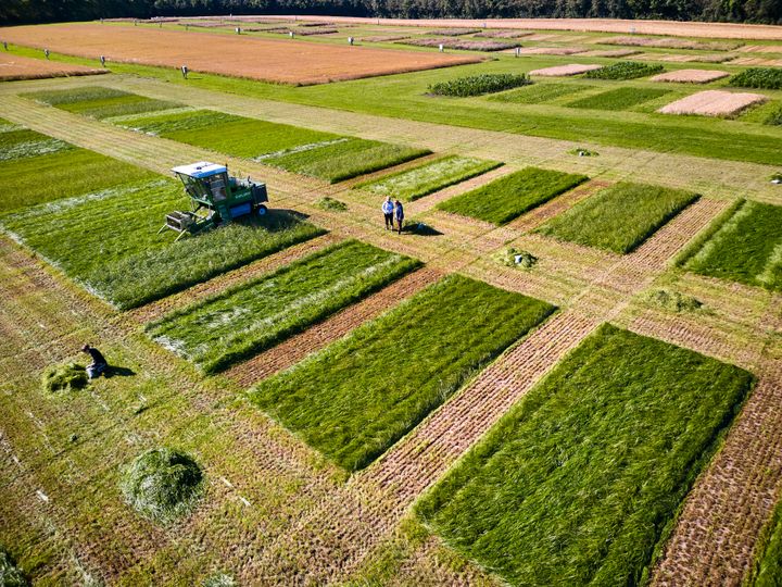 Med en samlet pulje på 4,2 mio. kr. støtter den filantropiske forening nu ti virksomheder, der arbejder med materialer baseret på danske landbrugsafgrøder som halm, græs, hamp, pil og elefantgræs. Virksomhederne arbejder med udviklingen af både elementer, plader og isolering baseret på biobaserede materialer.