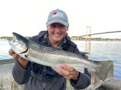 Frank Sjøgreen er en erfaren havørredfisker og Fishbuddys mand i Danmark. Nu har Fishbuddy udviklet et nyt værktøj, som viser, hvor det er lettest at fange havørred tidligt på sæsonen.