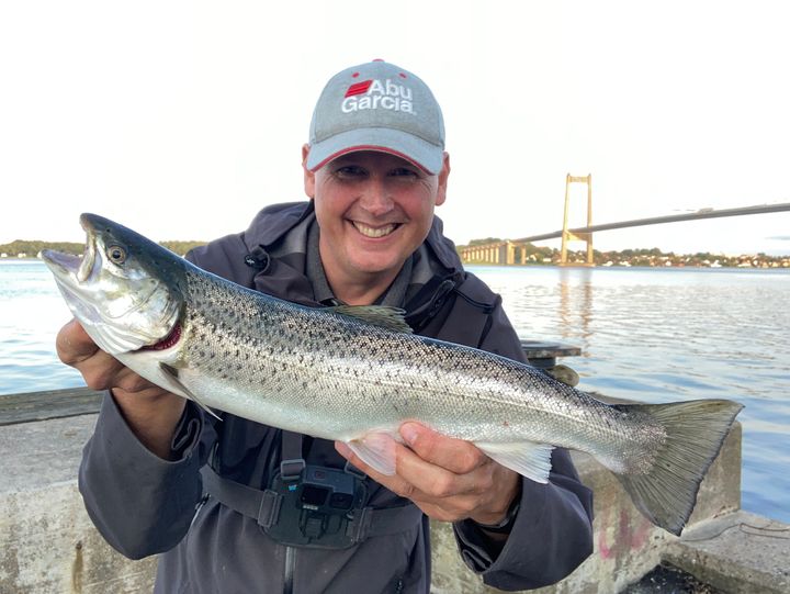 Frank Sjøgreen er en erfaren havørredfisker og Fishbuddys mand i Danmark. Nu har Fishbuddy udviklet et nyt værktøj, som viser, hvor det er lettest at fange havørred tidligt på sæsonen.