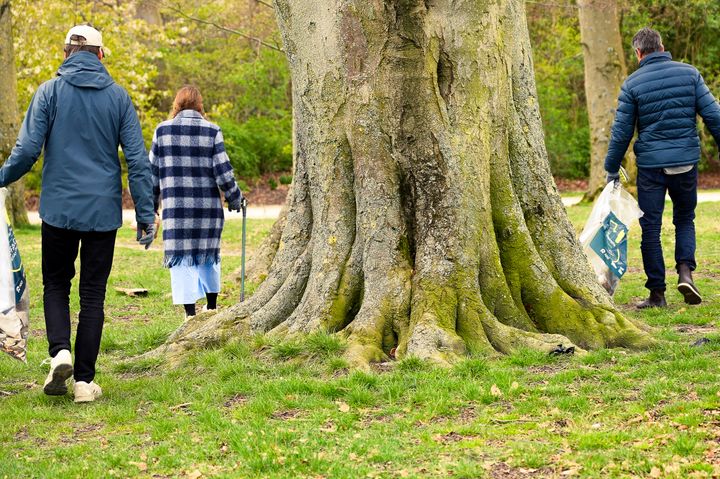 Tre personer samler skrald omkring et stort træ i en park.