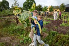 Haver til Maver blev stiftet som en almennyttig forening i 2006 af kokken Søren Ejlersen som en nytænkning af den gamle skolehavetanke på Krogerup Avlsgaard i Humlebæk – født ud af en vision om jordforbindelse og genskabelse af forbindelse mellem dyrkning og måltid, jord til bord, have til mave.