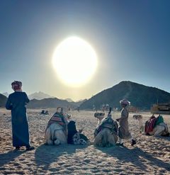 Fuld sol og besøg i beduinlandsby i ørkenen, Egypten.