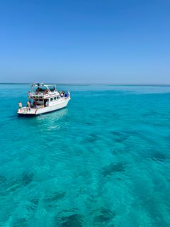 Snorkling og dykning er en populær aktivitet for turister i Egypten, hvor koralrevene er mange