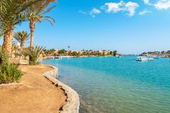 Den 21 november fyldes El Gouna med løbere fra hele verden