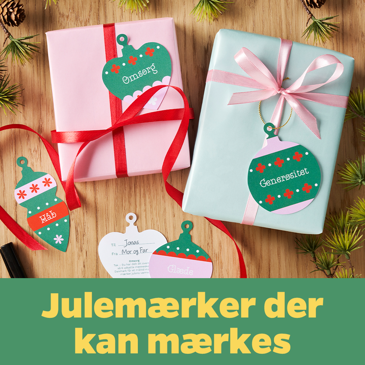 FødevareBanken samler ind så flere i Danmark kan fejre jul