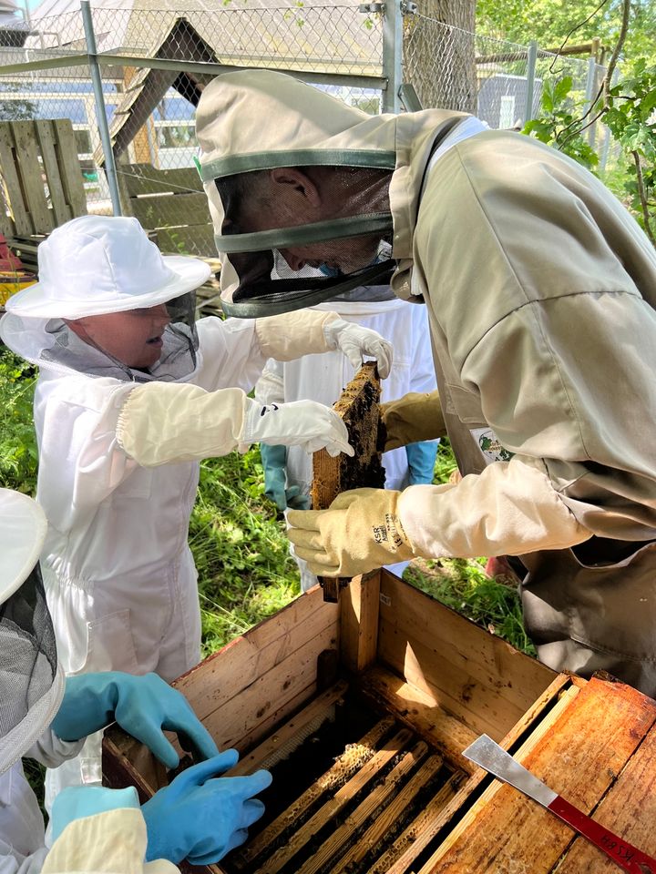 Billedet viser børn fra pecialskolen Kalvehave Skole og Børnehus i Sydsjælland, som arbejder med skolens bistader.