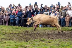 Hop, hop, hop ud på græs.