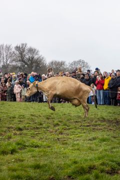 Økodag er altid et hit for publikum, og i år var ingen undtagelse.