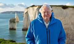 I sin nye bog fastslår David Attenborough, at der skal gøres mere for vores hav her og nu. Foto: Keith Scholey/Silverback Films and Open Planet Studios