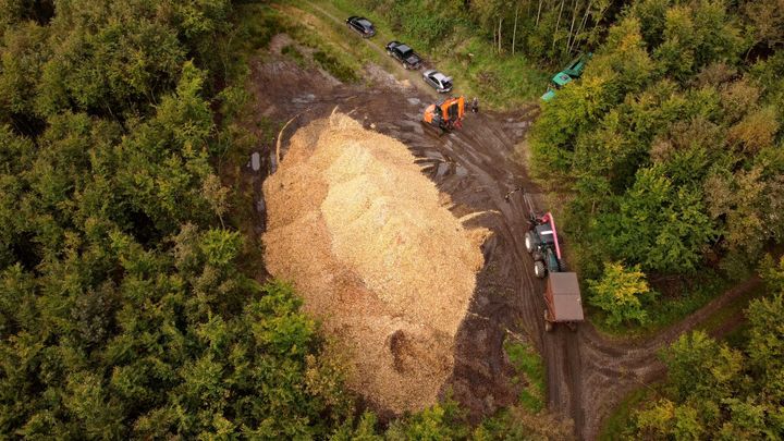 Brug af træflis i den danske energisektor spiller en central rolle for klima, mere skov og forsyningssikkerhed.