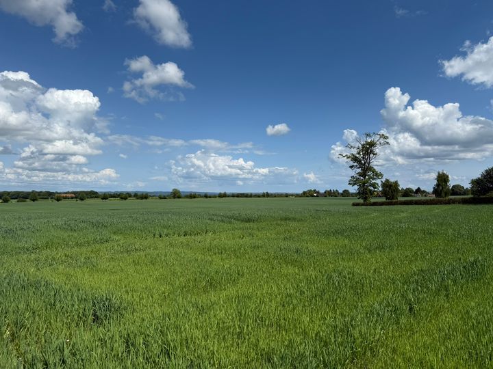 Regeringen lover en mere enkel kvælstofregulering, men i virkeligheden bliver systemet mere komplekst end nogensinde.